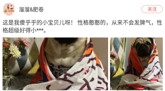 波奇宠物商城官方版