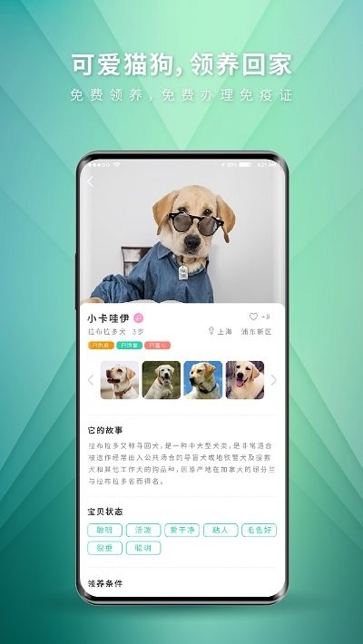 麦道宠物最新版