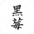 黑莓小说官网版